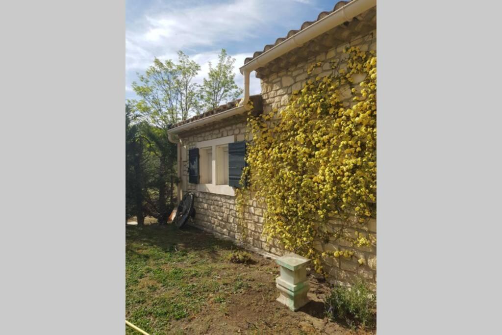 Appartement 2 Pers Avec Acces Piscine Saint-Rémy-de-Provence Eksteriør billede